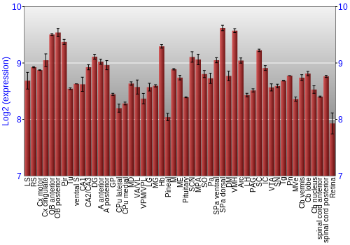 Expression graph