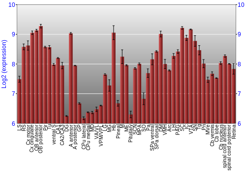 Expression graph