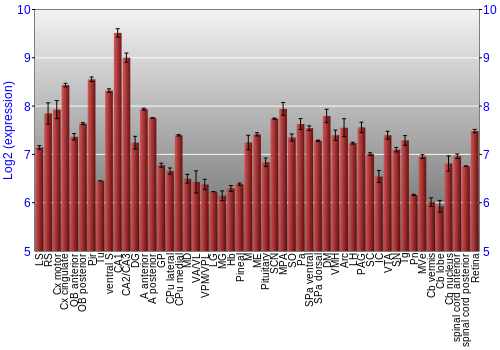 Expression graph