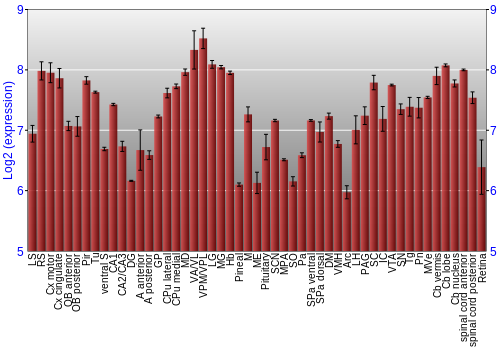 Expression graph