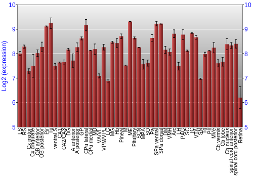 Expression graph