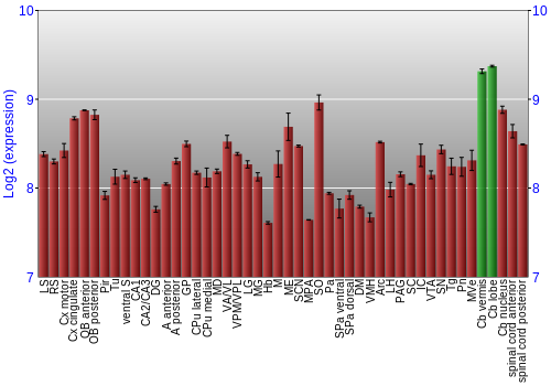 Multi-state expression graph