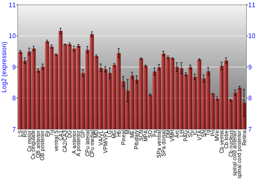 Expression graph