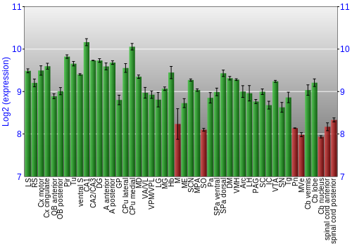 Multi-state expression graph
