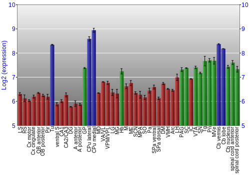Multi-state expression graph