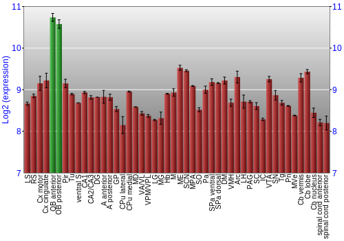 Multi-state expression graph