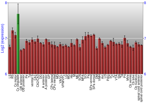 Multi-state expression graph