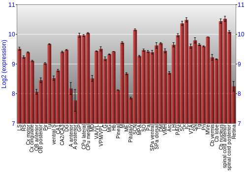 Expression graph