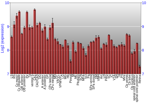 Expression graph