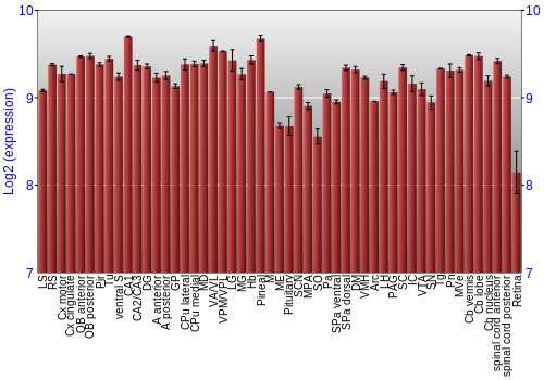 Expression graph