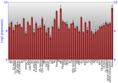 Expression graph