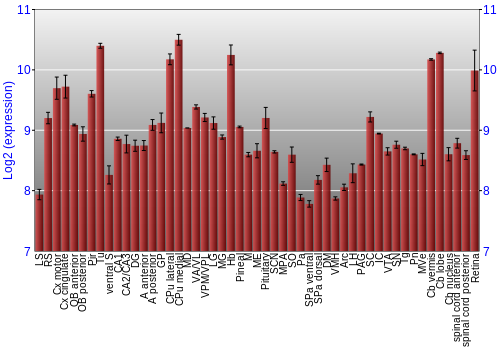 Expression graph