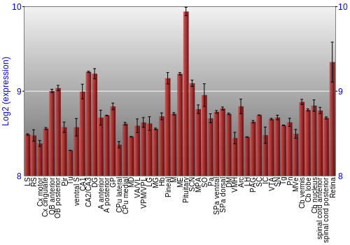Expression graph