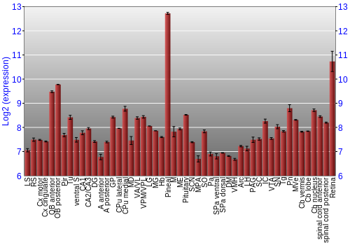 Expression graph