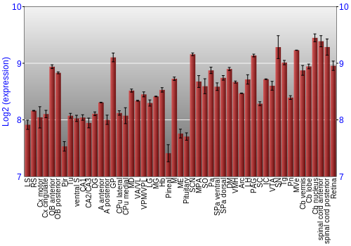 Expression graph