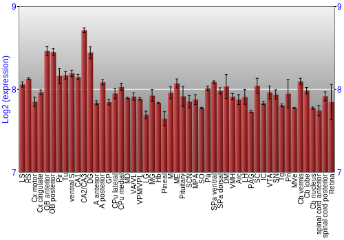 Expression graph