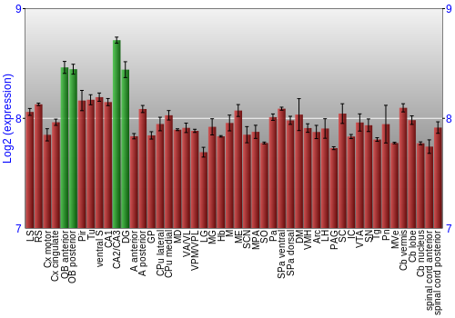 Multi-state expression graph