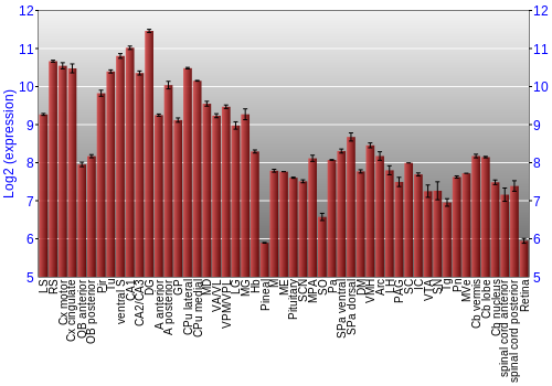 Expression graph