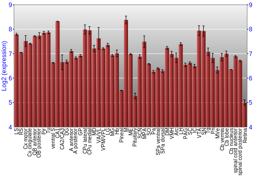 Expression graph