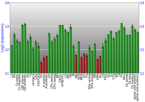 Multi-state expression graph