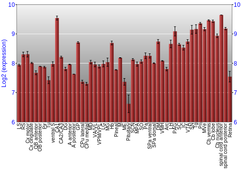 Expression graph