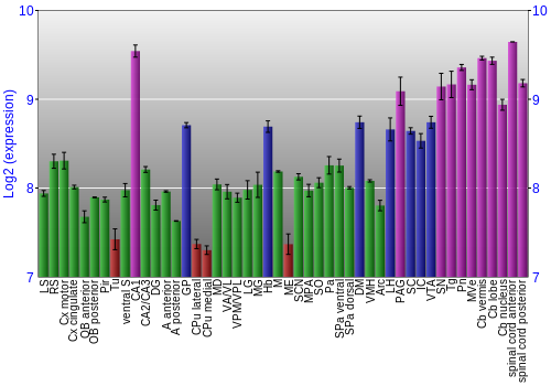 Multi-state expression graph