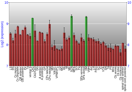 Multi-state expression graph