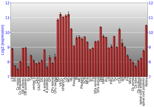 Expression graph