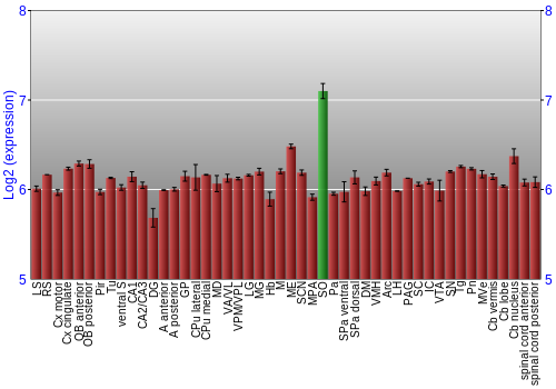 Multi-state expression graph