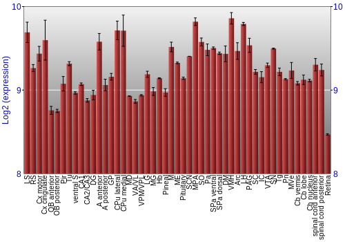 Expression graph