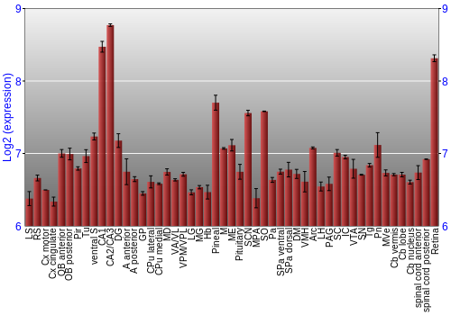 Expression graph