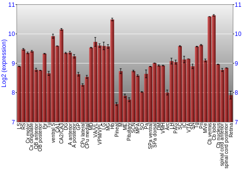 Expression graph