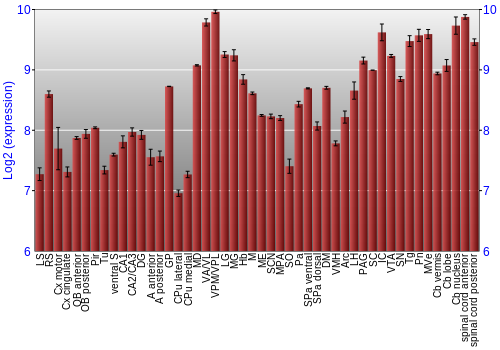 Multi-state expression graph