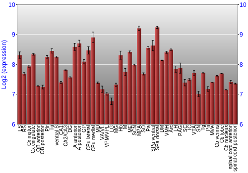Multi-state expression graph