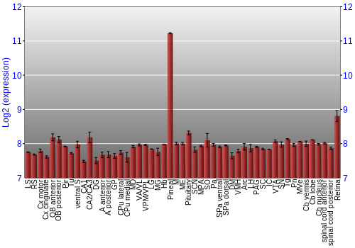 Expression graph