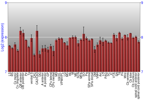 Multi-state expression graph