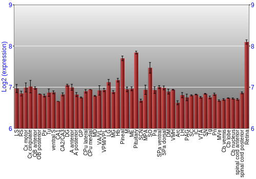 Expression graph