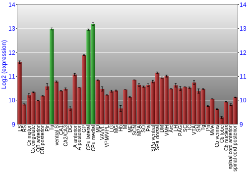Multi-state expression graph