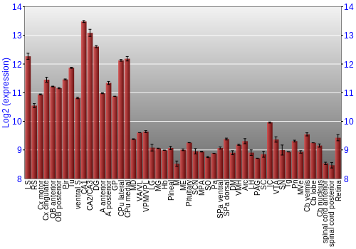 Expression graph