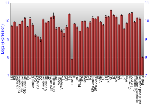 Expression graph
