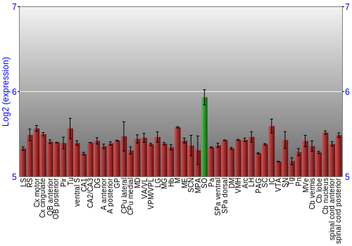 Multi-state expression graph