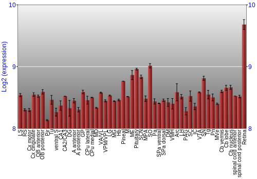 Expression graph