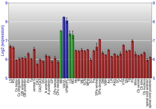 Multi-state expression graph