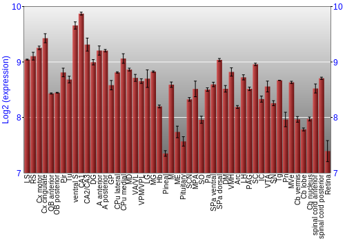Expression graph
