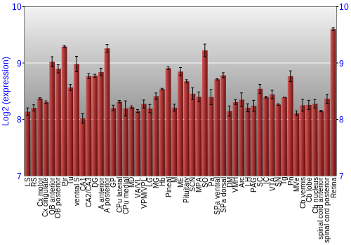 Expression graph