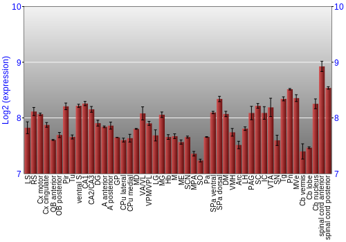 Multi-state expression graph