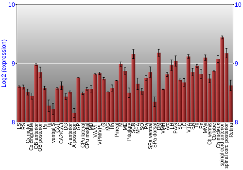 Expression graph