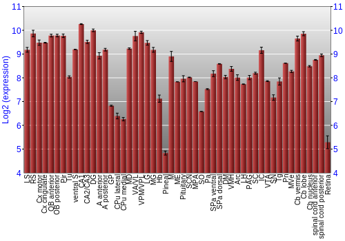 Expression graph