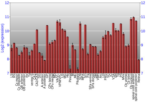 Expression graph