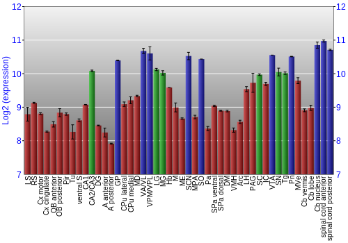 Multi-state expression graph